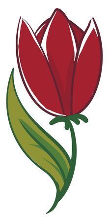 A single bud of red poppy flower, vector, color drawing or illustration.のイラスト素材