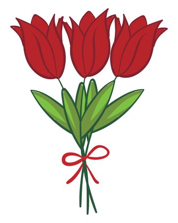 Three red poppy flowers tied together with a red ribbon, vector, color drawing or illustration.のイラスト素材