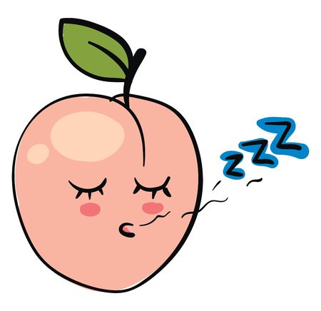 A cute little apricot pod sleeping, vector, color drawing or illustration.のイラスト素材