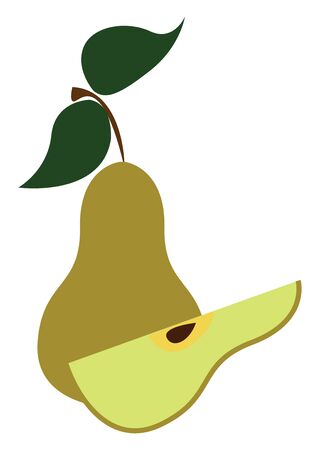 A light green a pear with black seed and two green leaves, vector, color drawing or illustration.のイラスト素材