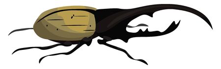 A colour illustration of a Hercules beetle., vector, color drawing or illustration.