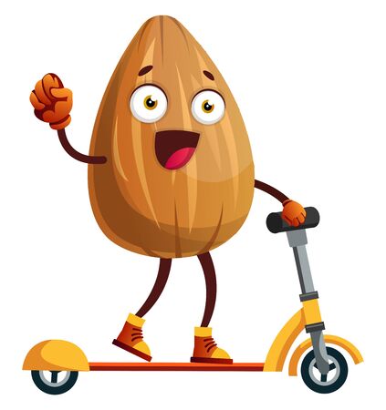 Almond on a yellow scooter, illustration, vector on white background.のイラスト素材