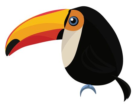A black and white owl shaped bird with red eyes big orange and red beak and a tiny tail, vector, color drawing or illustration.のイラスト素材