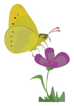 A yellow butterfly sitting on a violet flower, vector, color drawing or illustration.のイラスト素材