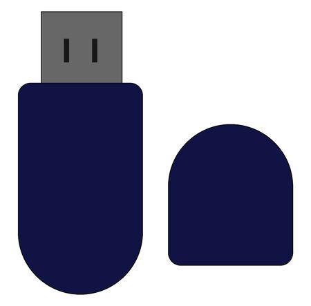 A colour illustration of a flash drive, vector, color drawing or illustration.