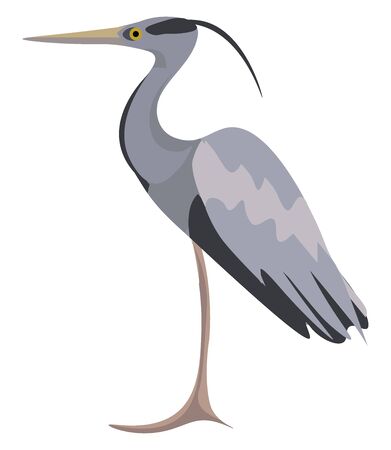 It is the long plumes that grow during the breeding season in white herons., vector, color drawing or illustration.のイラスト素材