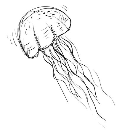 Jellyfish drawing, illustration, vector on white background.のイラスト素材