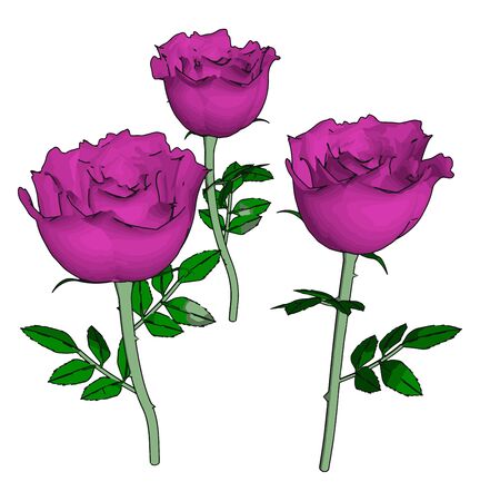 Pink rose, illustration, vector on white background.のイラスト素材