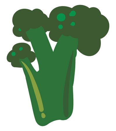 Green broccoli, illustration, vector on white background.のイラスト素材