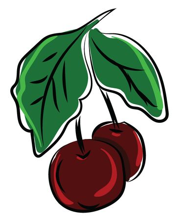 Cherries drawing, illustration, vector on white background.のイラスト素材