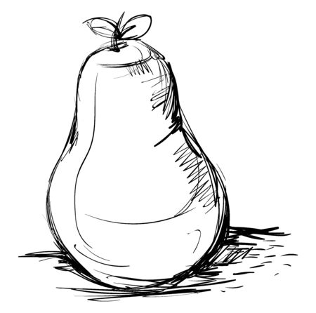 Guava drawing, illustration, vector on white background.のイラスト素材