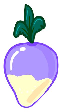 Rutabaga, illustration, vector on white background.のイラスト素材