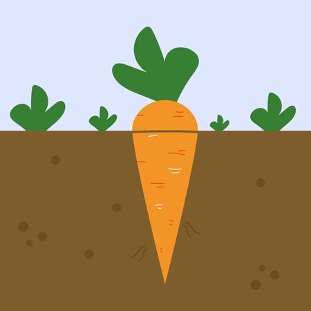 Fresh carrot, illustration, vector on white background.のイラスト素材
