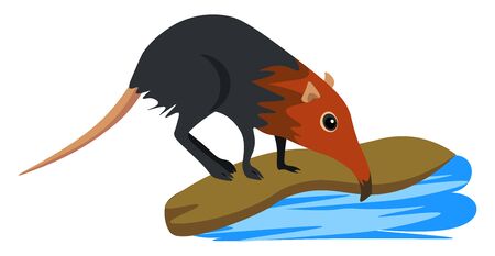 Weird rat, illustration, vector on white background.のイラスト素材