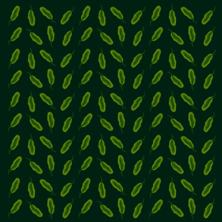 Spinach wallpaper, illustration, vector on white background.のイラスト素材