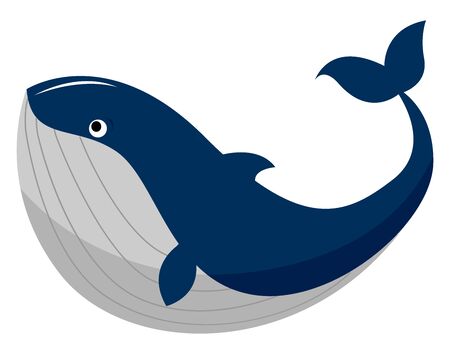 Big whale, illustration, vector on white background.のイラスト素材