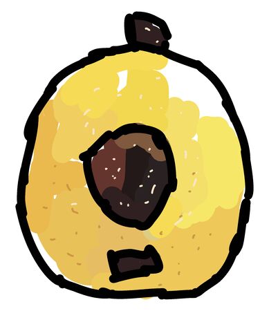 Loquat, illustration, vector on white background.のイラスト素材