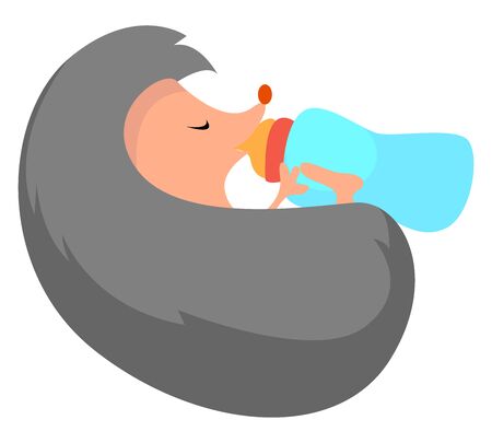 Baby hedgehog, illustration, vector on white background.のイラスト素材