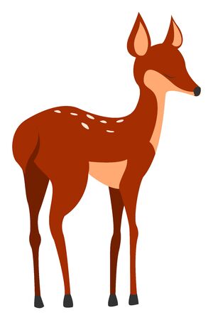 Fawn, illustration, vector on white background.のイラスト素材