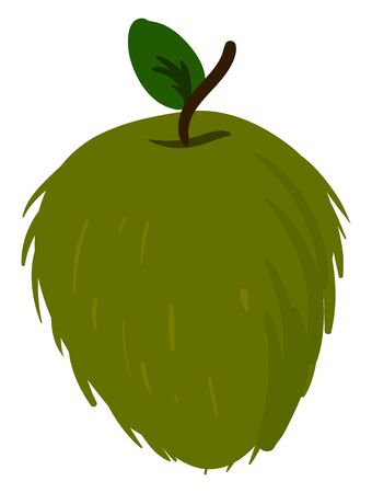 Fresh soursop, illustration, vector on white background.のイラスト素材