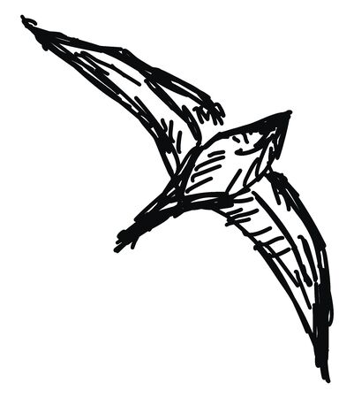 Bird sketch, illustration, vector on white background.のイラスト素材