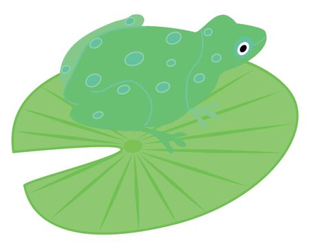 Green frog, illustration, vector on white background.のイラスト素材