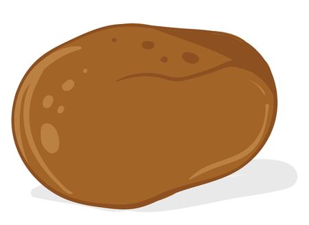 Sweet potato, illustration, vector on white background.のイラスト素材