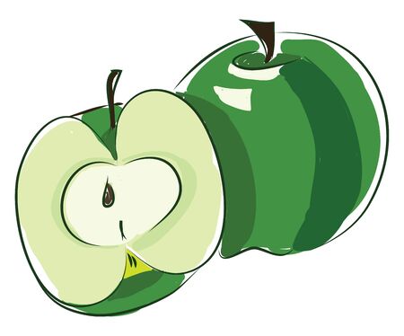 A fresh and delicious green apple, vector, color drawing or illustration.のイラスト素材