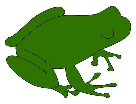 Green frog, illustration, vector on white background.のイラスト素材