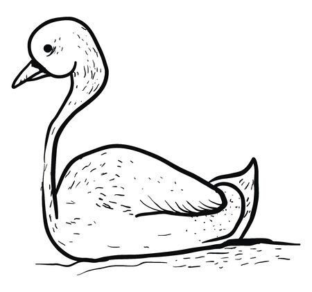 Drawing of swan, illustration, vector on white background.のイラスト素材
