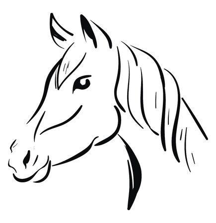 A black horse sketch, vector, color drawing or illustration.のイラスト素材