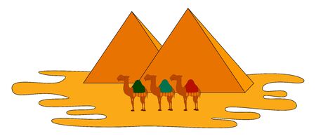 Camels and pyramids, illustration, vector on white background.のイラスト素材