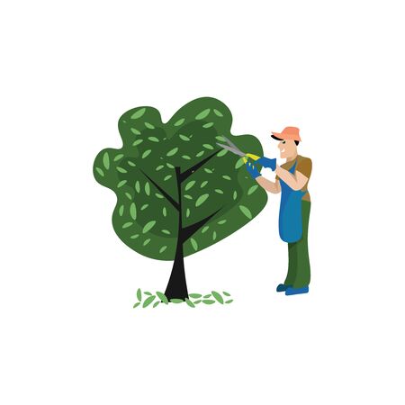 Gardener trimming a tree, illustration, vector on white background.のイラスト素材