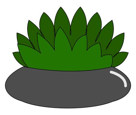 Home flower in pot, illustration, vector on white backgroundのイラスト素材