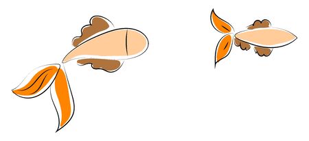 Two fishes, illustration, vector on white background.のイラスト素材
