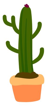 Long cactus in pot, illustration, vector on white background.のイラスト素材