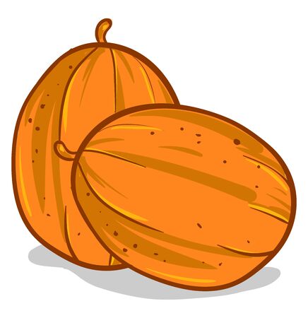 Orange melons, illustration, vector on white backgroundのイラスト素材