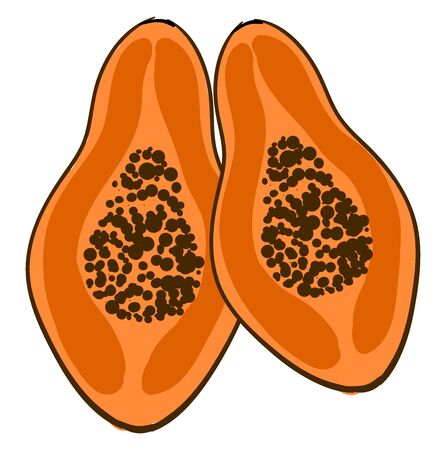 Papaya pieces, illustration, vector on white backgroundのイラスト素材