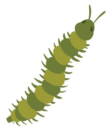Long green centipede, illustration, vector on white background.のイラスト素材
