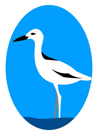 Crab plover, illustration, vector on white background.のイラスト素材