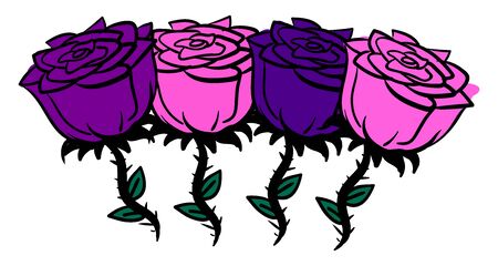 Rose and purple roses, illustration, vector on white background.のイラスト素材