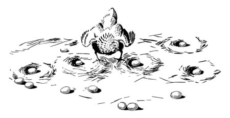 This illustration represents Chicken and Eggs, vintage line drawing or engraving illustration.のイラスト素材