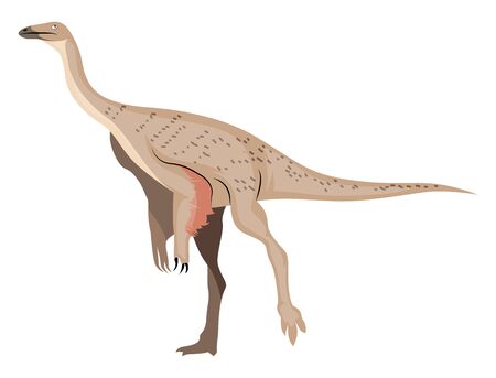 Ornithomimus, illustration, vector on white background.のイラスト素材