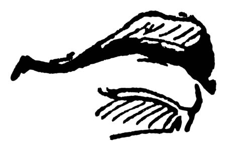 An illustration of a human mouth, vintage line drawing or engraving illustration.のイラスト素材