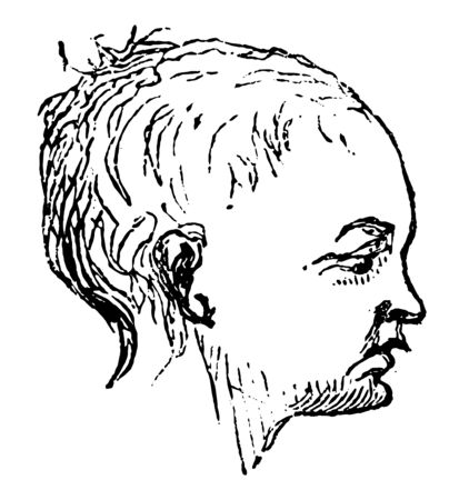 face of man head profile in this picture, vintage line drawing or engraving illustration.のイラスト素材