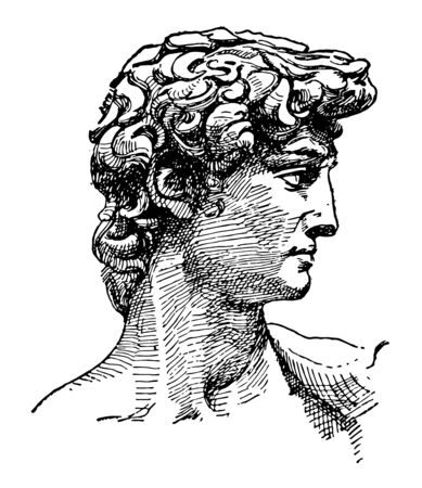 David face of Michelangelos sculpture the biblical hero David vintage line drawing or engraving illustrationのイラスト素材