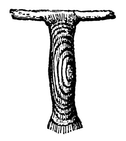 This image represents Case of Woolen Moth Attached to a Piece of Cloth vintage line drawing or engraving illustration.のイラスト素材