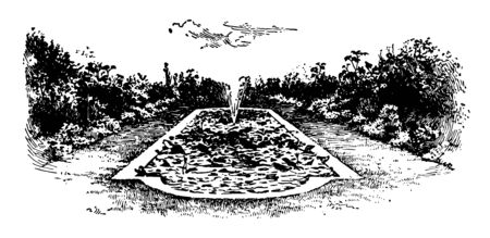 Lawn Pond of Aquatics with a mason-work margin, water lilies and other ornamental , vintage line drawing or engraving illustration.のイラスト素材