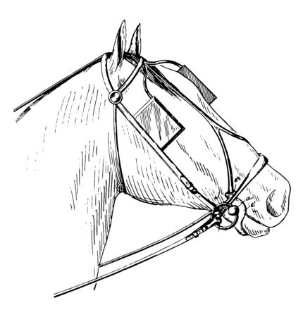 This illustration represents Bridle Bit which is used to direct a horse, vintage line drawing or engraving illustration.のイラスト素材