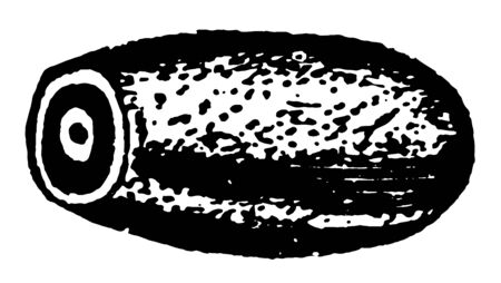 Egg of Bug is one of the fifteen Egg Groups vintage line drawing or engraving illustration.のイラスト素材